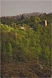  Pohled na zříceninu hradu Templštejn z PR Velká skála nad řekou Jihlavou