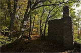  Zřícenina hradu Kraví hora nad řekou Oslavou
